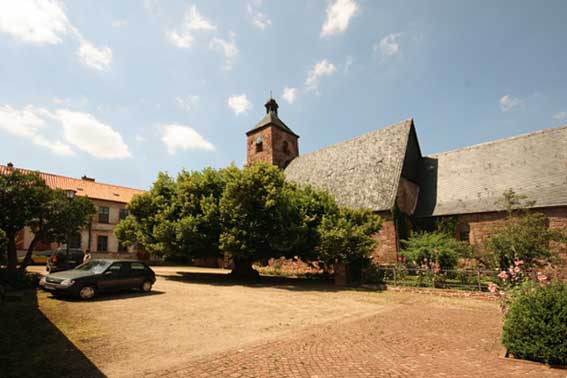 Georgii Kirche Kelbra Klosterlinde